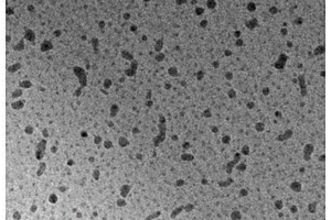 强稳定光限幅五元聚元素纳米颗粒及其制备方法