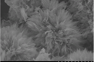 锂离子电池负极材料微花状四氧化三锰及制备方法与应用