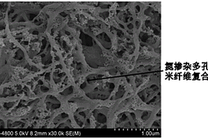 用于锂/钠离子电池负极的氮掺杂多孔碳纳米纤维复合材料及制备方法