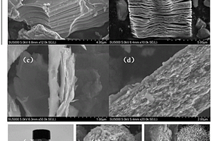 碳纳米管-碳化钛复合多孔微球及其制备与在锂硫电池中的应用