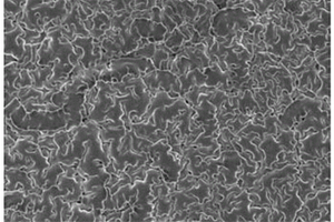 非对称结构聚合物基固态电解质膜及其制备方法和应用、聚合物基固态锂电池