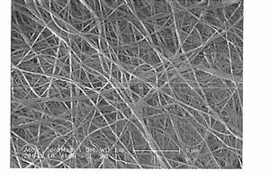掺铕四氟钇锂纳米纤维的制备方法