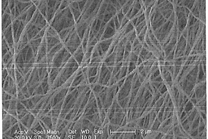 铒镱双掺四氟钇锂上转换发光纳米纤维的制备方法