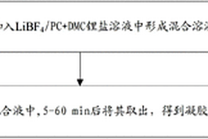 PEO基质凝胶聚合物电解质及其制备方法