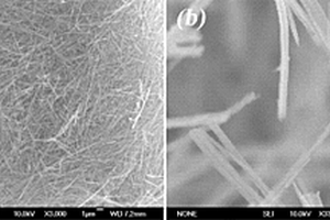 原位碳包覆TiO<sub>2</sub>(B)负极材料的制备方法和应用