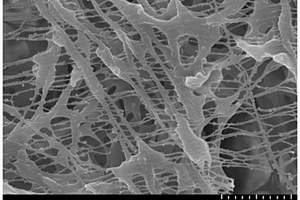 丝状偏氟乙烯聚合物复合涂覆隔膜的制备方法