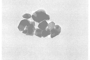 金红石型结构TiO2单分散纳米单晶及其合成方法