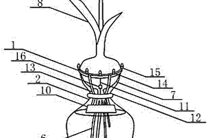 太阳能发电应用在无土栽培郁金香的玻璃瓶上的照明装置