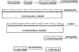 固相制备卡贝缩宫素的方法