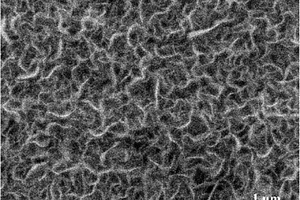 四氧化三钴花瓣状二维曲面纳米结构的制备方法