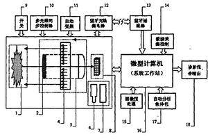 多光子皮肤镜图像自动分析系统及其应用于恶性黑素瘤的诊断方法