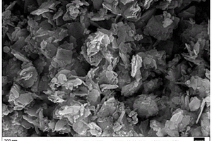 利用低共熔型盐制备电极材料的方法