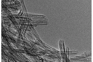 钠离子插层型氧化钛纳米管及其制备方法