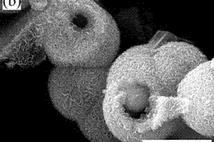 二硫化钼纳米核壳纳米结构的制备方法