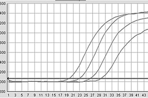 病毒/细菌的裂解液及荧光定量PCR检测方法