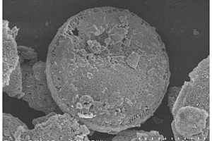 氮掺多孔微米盘硅碳复合材料、制备方法及其应用