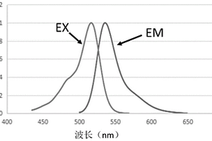 亲水性蒽类荧光染料及其合成方法