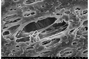 含沿横向拉伸方向取向的纳米纤维状多孔层的复合微孔膜