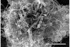 氮掺杂MoxC/Co/碳纳米管复合材料及其制备方法与应用