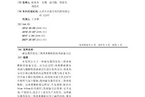 碳包覆四氧化三铁纳米颗粒的水热制备方法