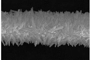 独立可剥离的二氧化钛纳米线薄膜及其制备方法和应用