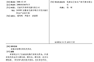 金属卤化物灯的发光药丸