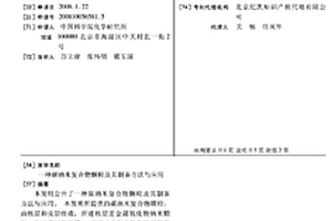 碳纳米复合物颗粒及其制备方法与应用