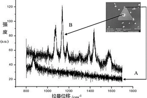 具有表面增强拉曼效应的金纳米三角片制备方法
