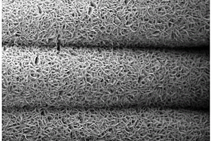 碳布负载碳包覆的硒化钴纳米片电池负极材料及其制备