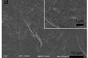 生物质纳米纤维隔膜、其制备方法和应用