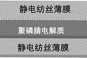 具有双重导离子网络的固态电解质及其制备方法