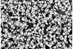 单分散高镍三元单晶正极材料的制备方法