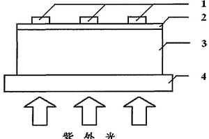 基于NPB和BND的紫外光探测器