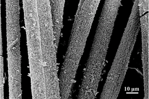碳纤维@二硫化钼纳米片核壳复合结构及其制备方法