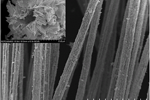 二硫化钨纳米片管状聚集体及其制备方法