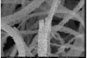 钛酸钴二氧化钛复合物纳米线及其制备方法
