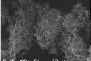 介孔氧化铁复合碳纳米管的制备方法及用途