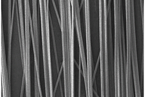 含纳米硅的多孔碳纳米管柔性电池材料及其制备方法