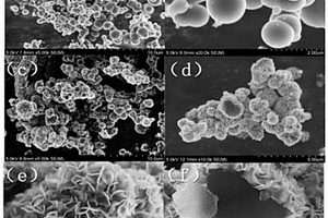 花状二硫化钼包覆球形剑麻炭电极材料的制备及其应用