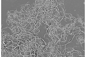 规模化多孔芳纶微纤隔膜的制备方法及其应用