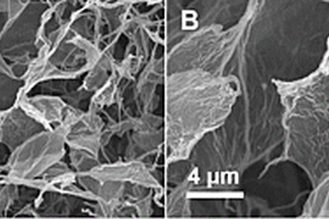 硫化钼/石墨烯/碳纳米纤维复合材料及其制备方法
