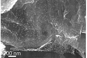 石墨烯/过渡金属氧化物复合负极材料及其制备方法