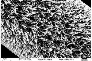 碳纤维-氧化锌纳米棒复合材料及其制备方法和应用