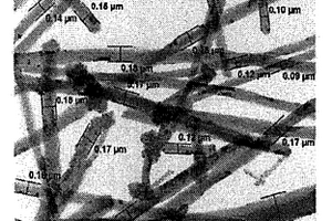 多层碳纳米材料的氟化