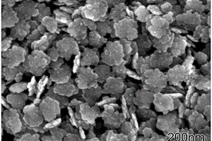 钛掺杂氧化铁介晶纳米粒子及其制备方法和应用方法