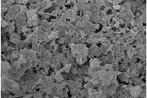 氮杂多级孔碳负极材料及其制备方法和应用