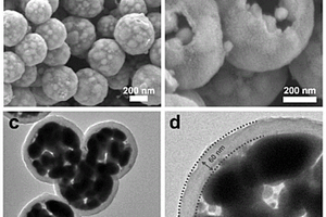 类石榴状氮掺杂碳包覆锡镍合金复合材料及制备方法