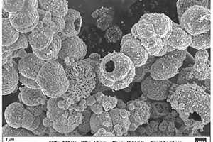 空心结构五氧化二铌微球及其制备方法和应用