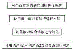 全血DNA提取试剂盒及提取方法