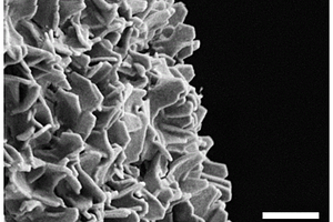 磷化钴纳米颗粒镶嵌碳纳米片阵列材料及其制备和应用
